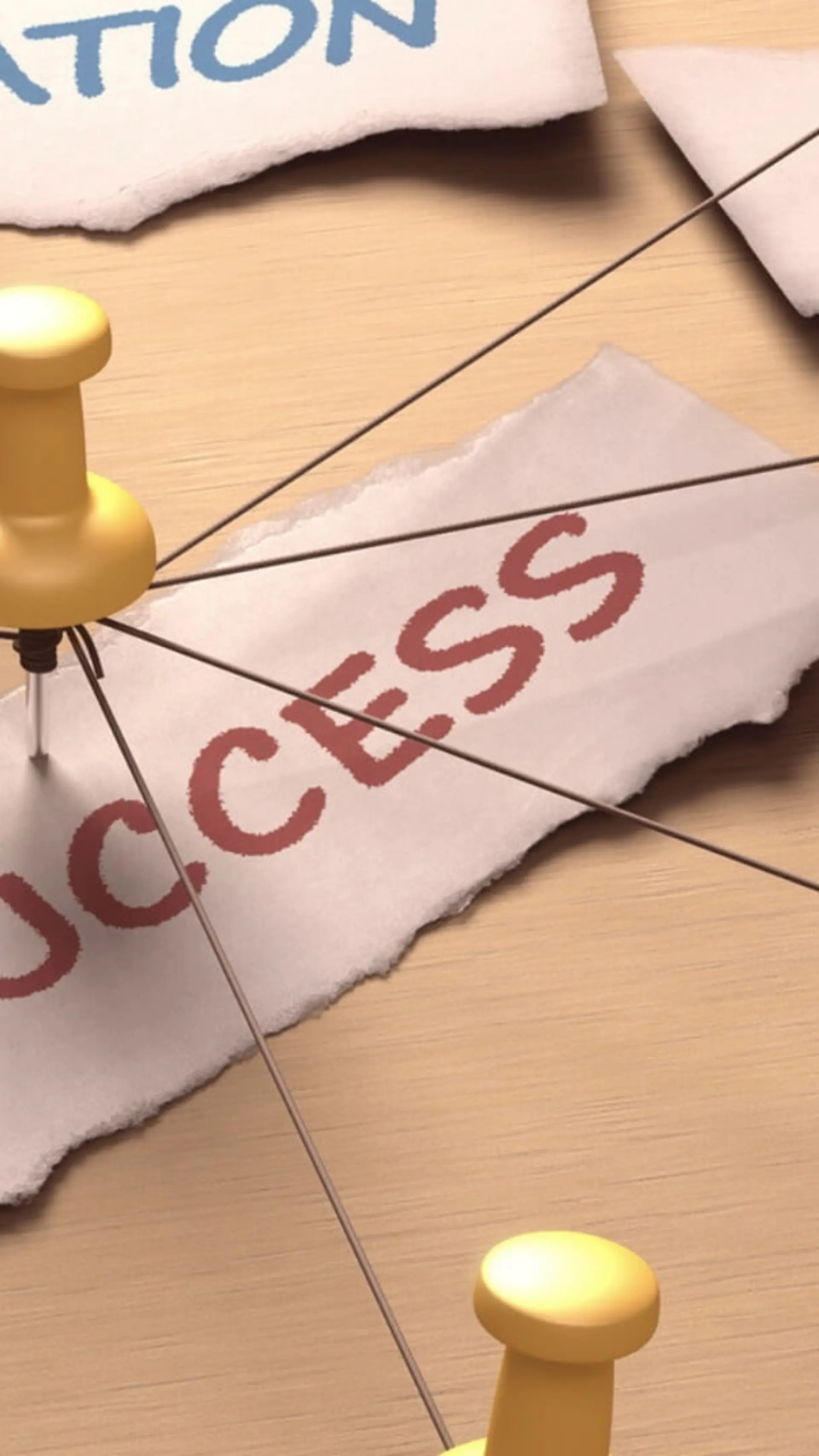 Zakelijk Succes