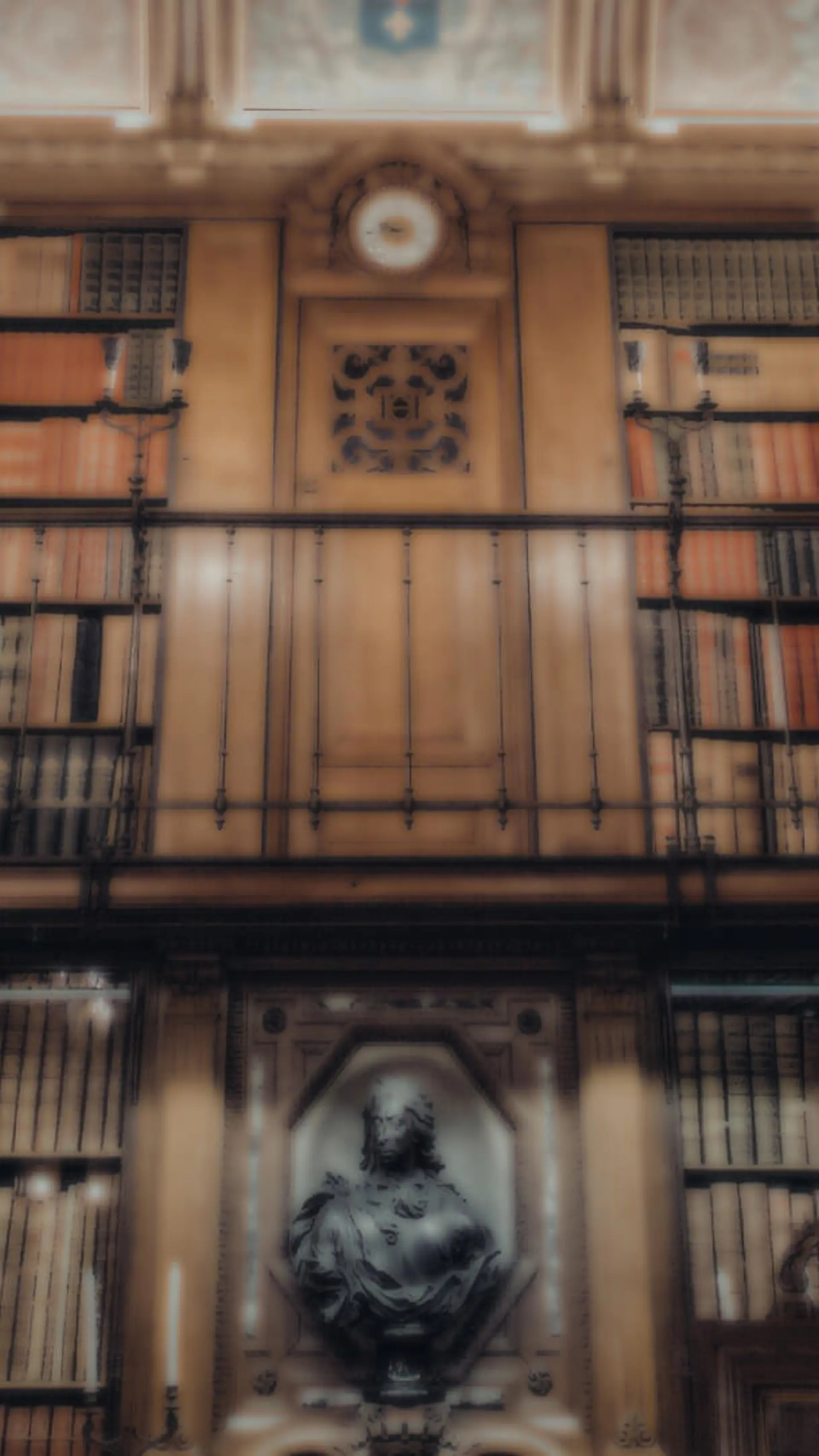 Bibliotheekslezing