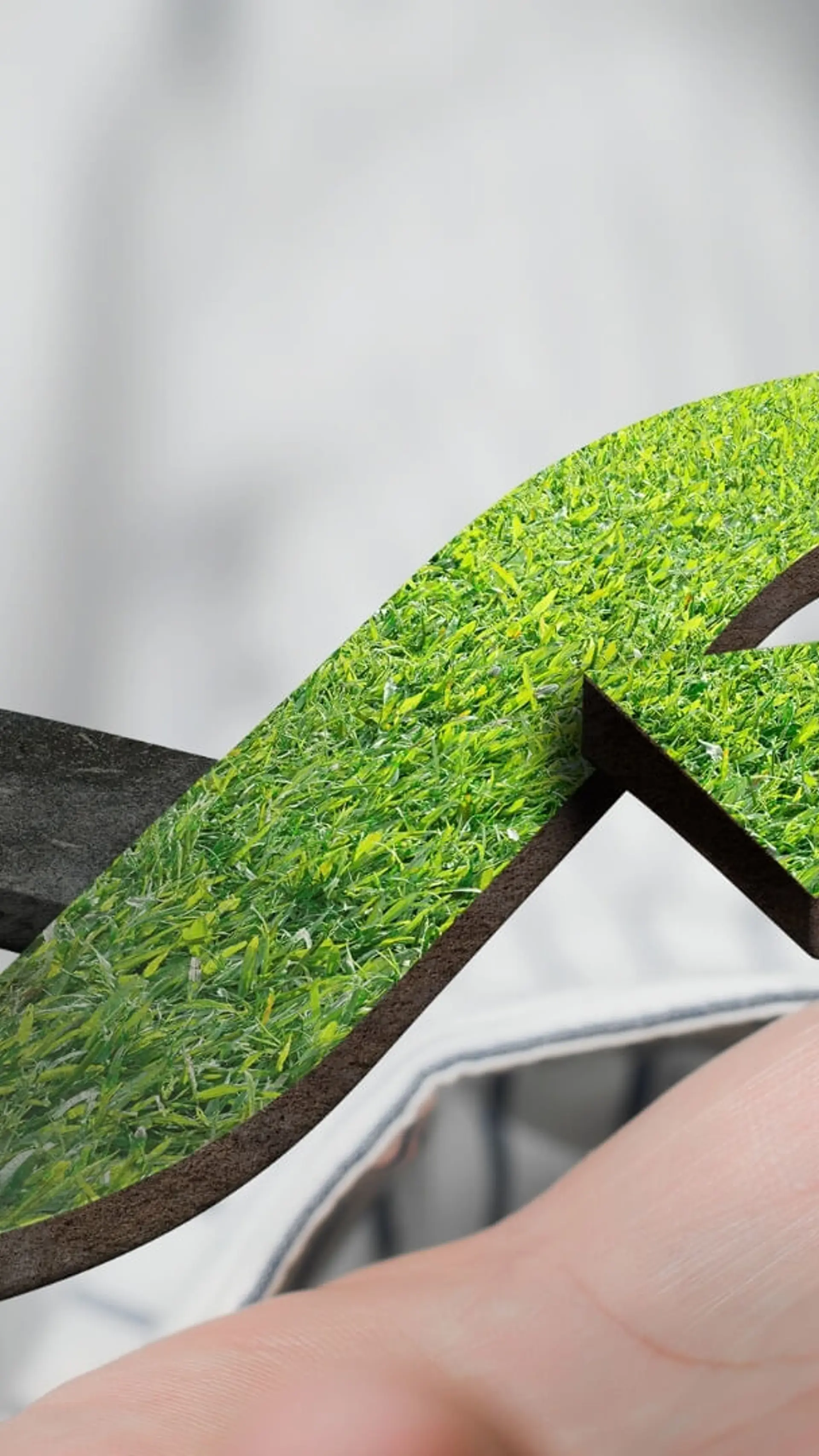 Circulaire Economie