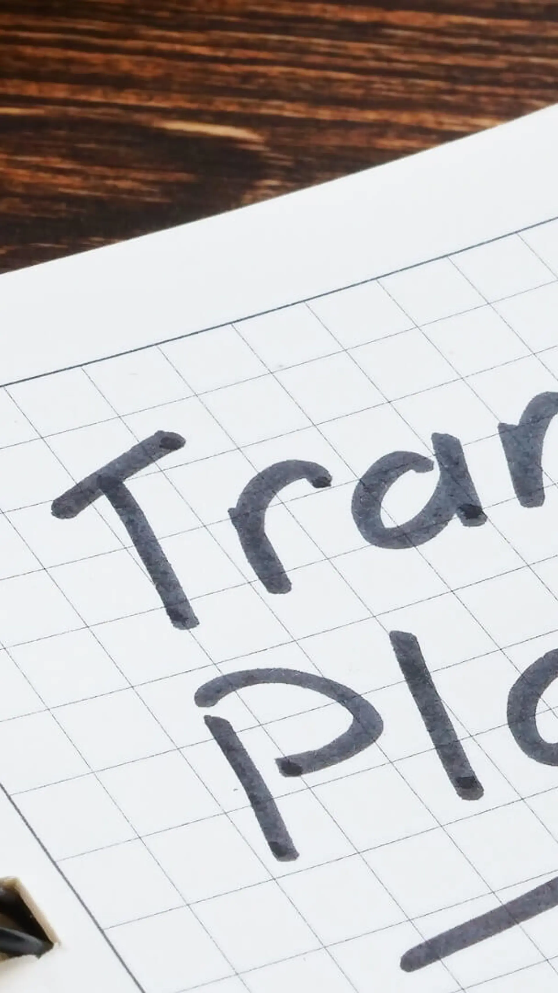Transitieleiderschap