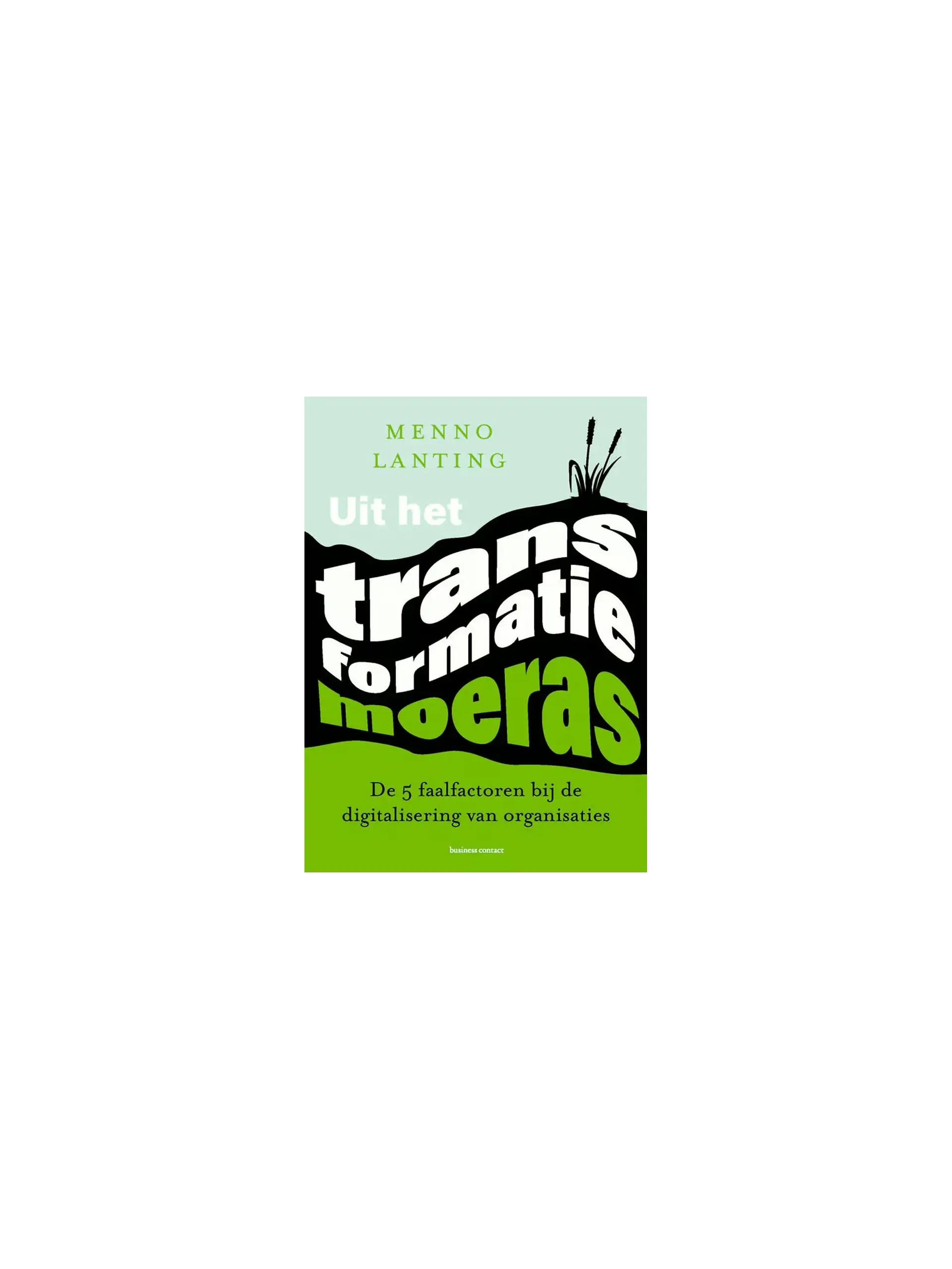 Uit het transformatiemoeras
