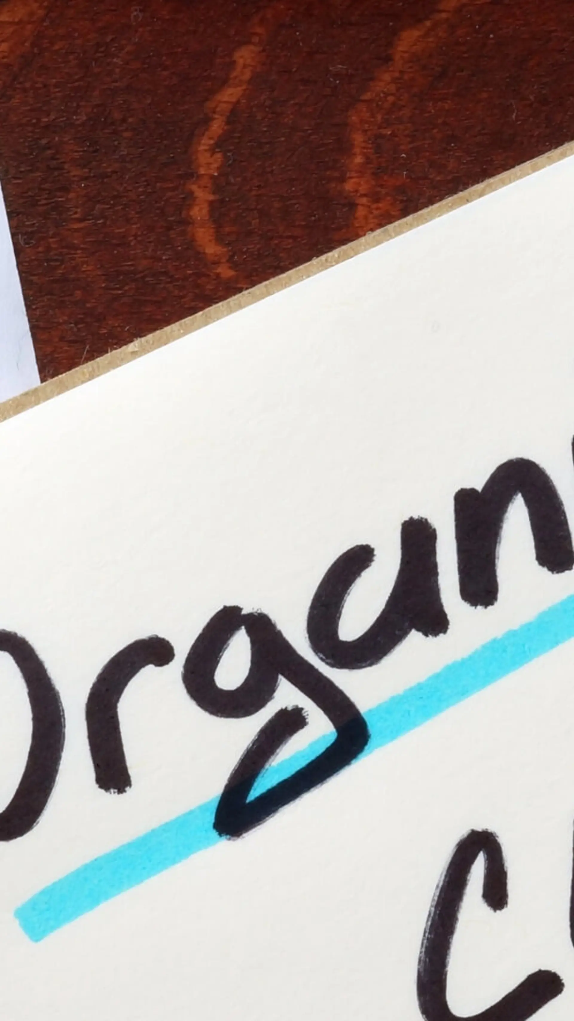 Organisatievitaliteit