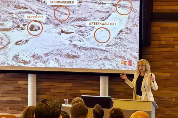 We moeten niet harder sturen, maar beter kijken