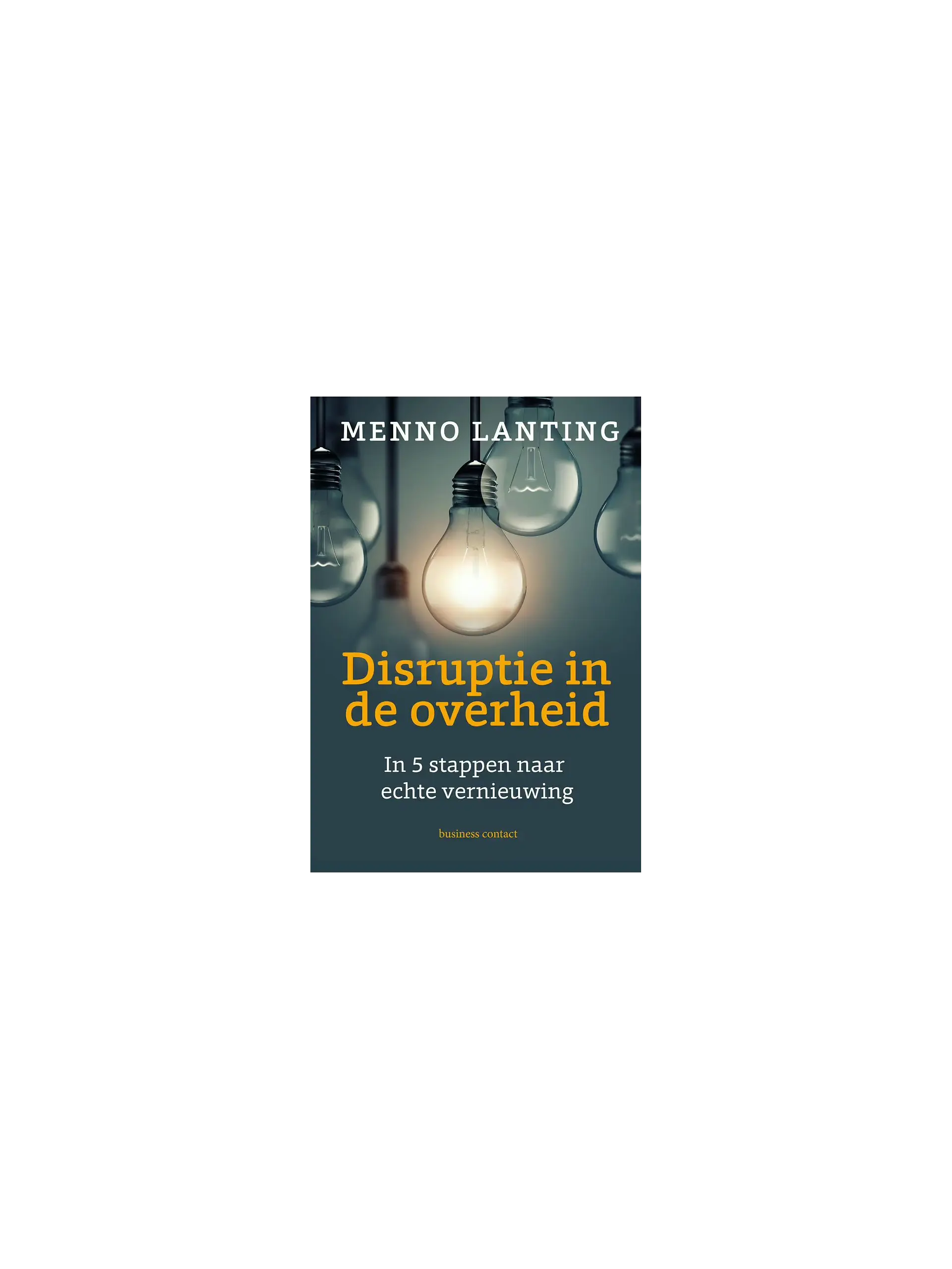 Disruptie in de overheid